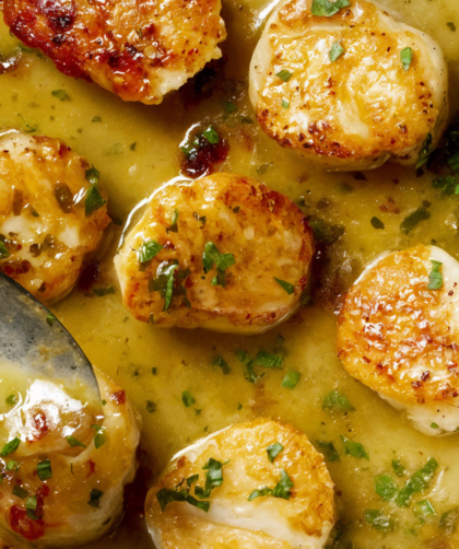 Gordon Ramsay Scallop Recipe