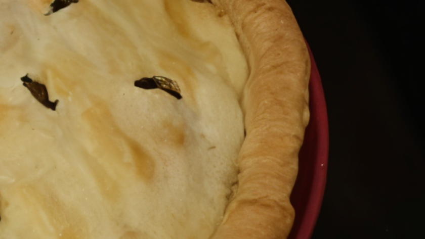 Gordon Ramsay Venison Pie Recipe