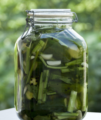 Gordon Ramsay Pickled Celery Recipe